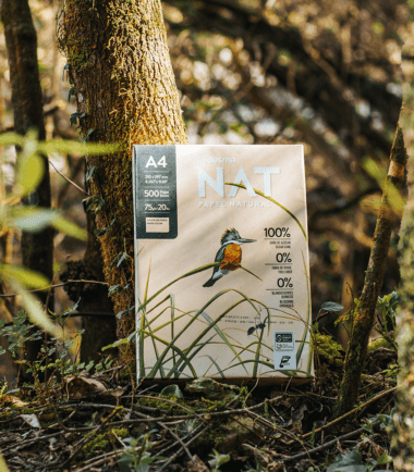 Resma A4 Ledesma NAT